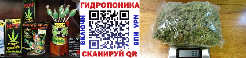 Canna-Cookies марихуана  Шуя 