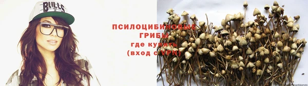 твердый Алексеевка