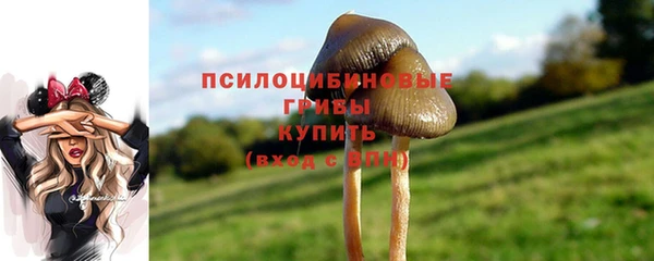 твердый Алексеевка
