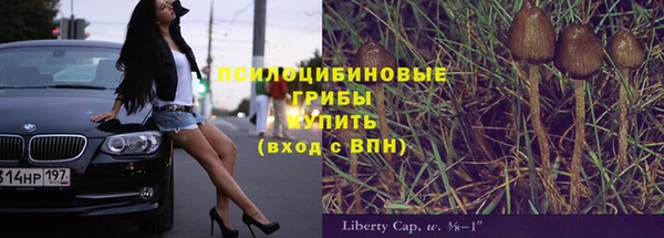 бутират Алзамай