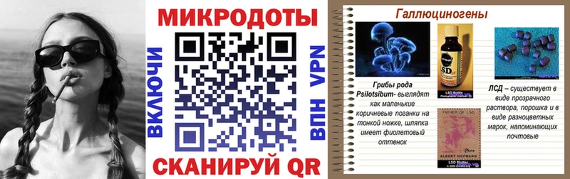 mega маркетплейс  купить наркотик  Шуя  даркнет Telegram  Галлюциногенные грибы MAGIC MUSHROOMS 